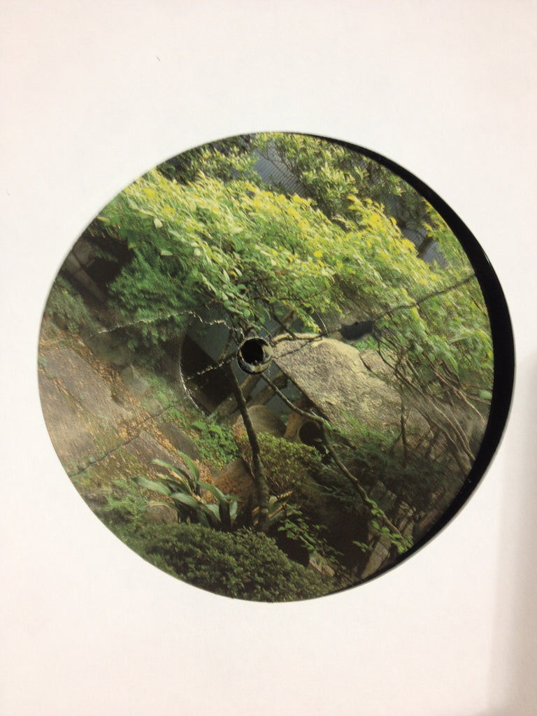 500 12" black 150 gram record with a full color label and white dust sleeve